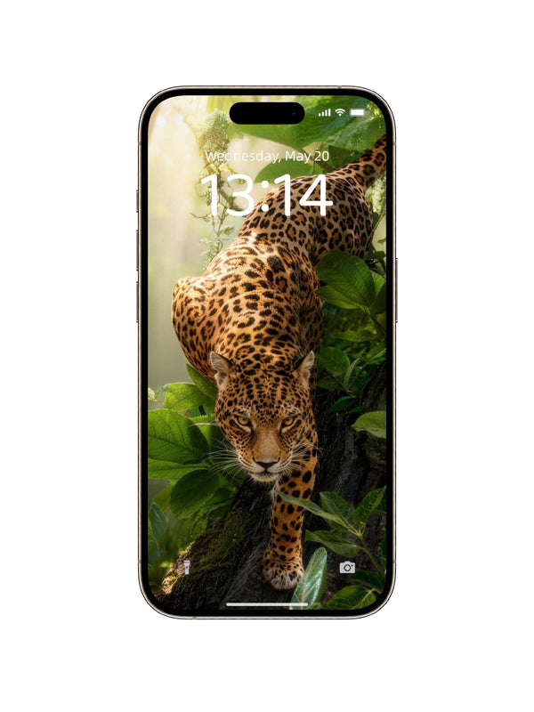 Rainforest Crawling Leopard Digital Wallpaper