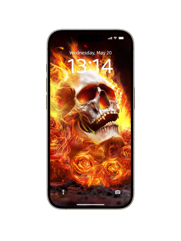 Blazing Fire Rose Skull Digital Wallpaper
