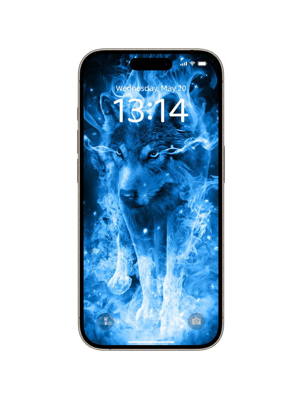 Blue Flame Wolf Walk Phone Wallpaper