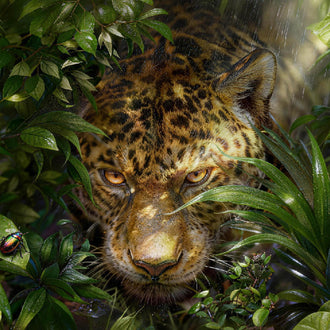 Jungle Leopard-Wallpaper