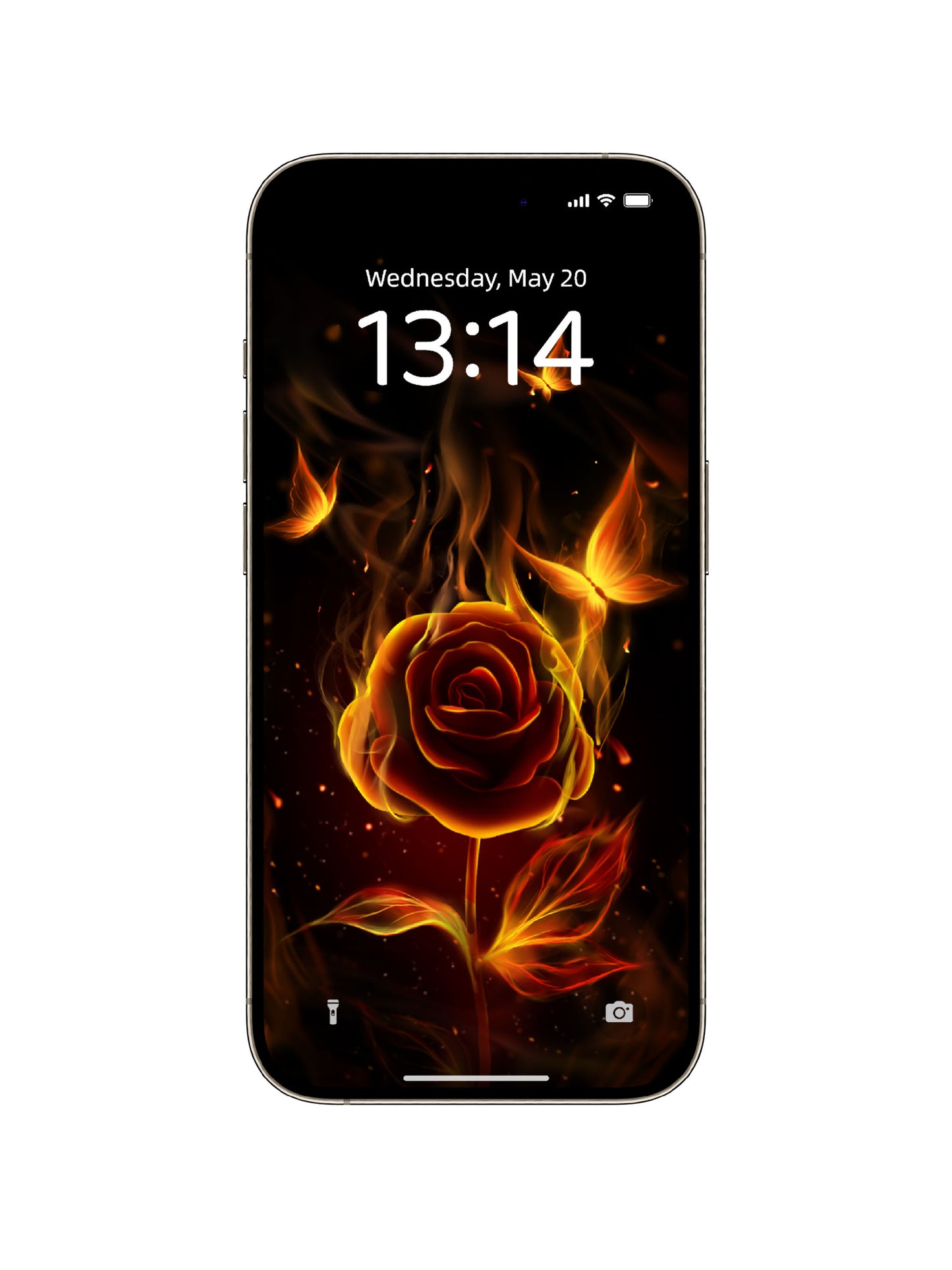 Fiery Rose & Butterflies Phone Wallpaper