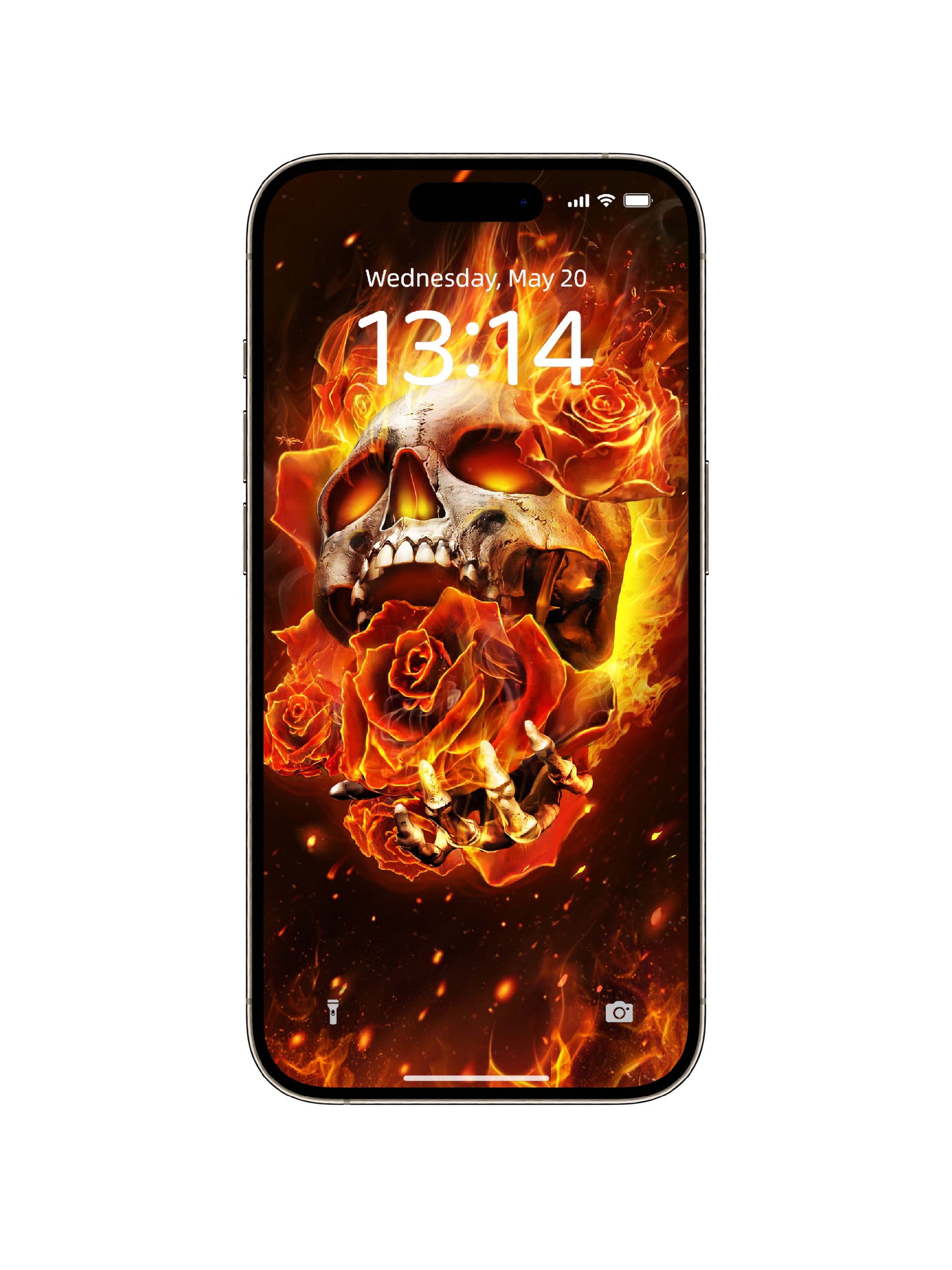 Fiery Roses Skull Phone Wallpaper