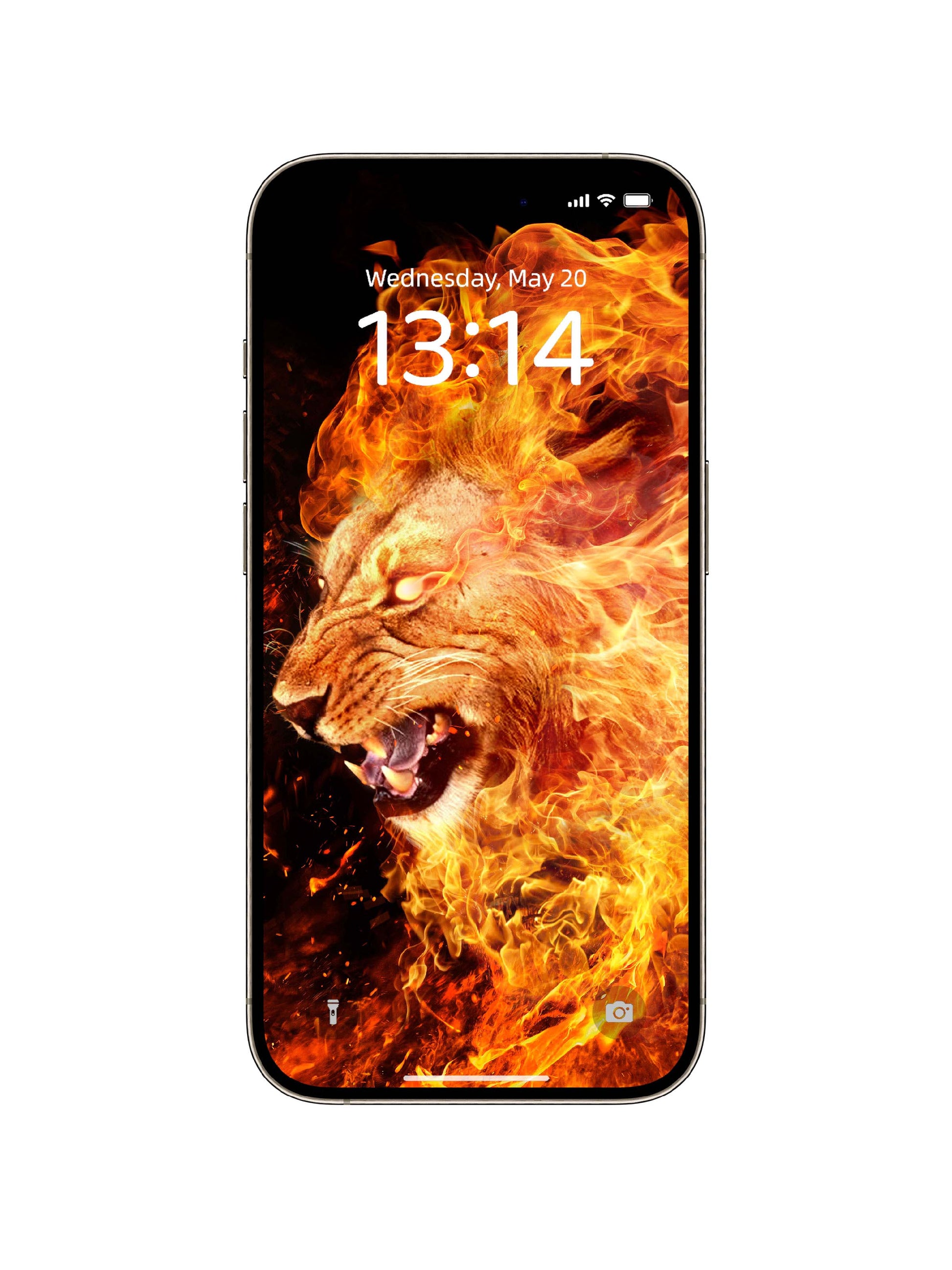 Flame Lion Snarl Phone Wallpaper