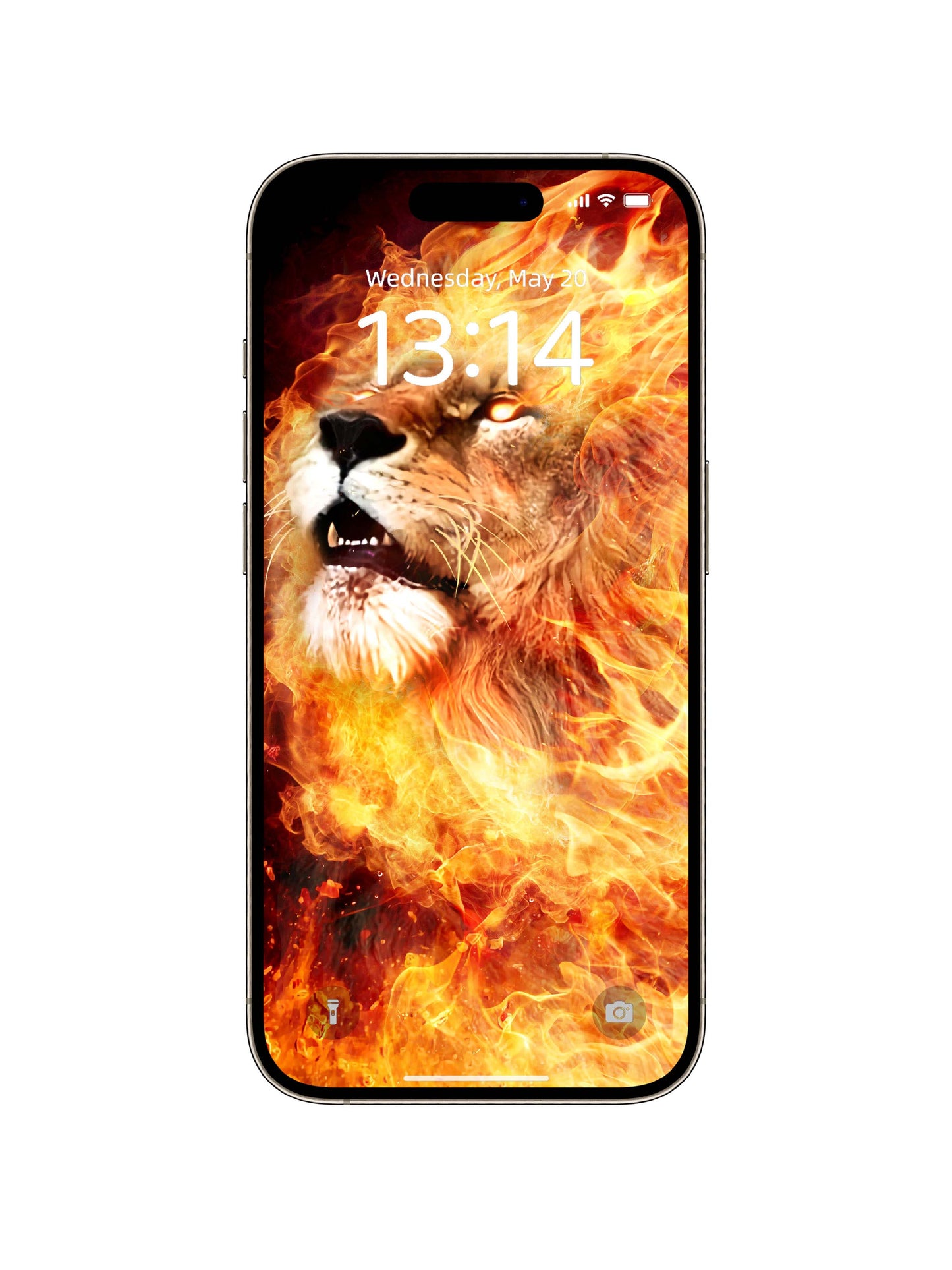 Inferno Lion Profile Phone Wallpaper