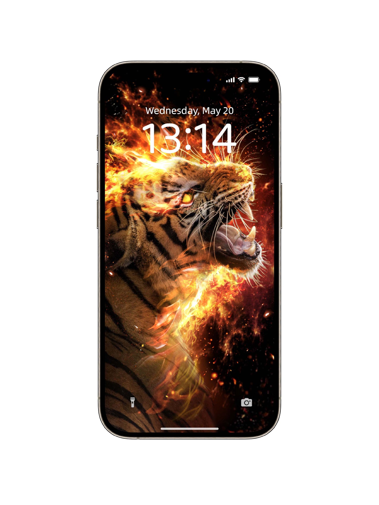 Inferno Tiger Snarl Phone Wallpaper