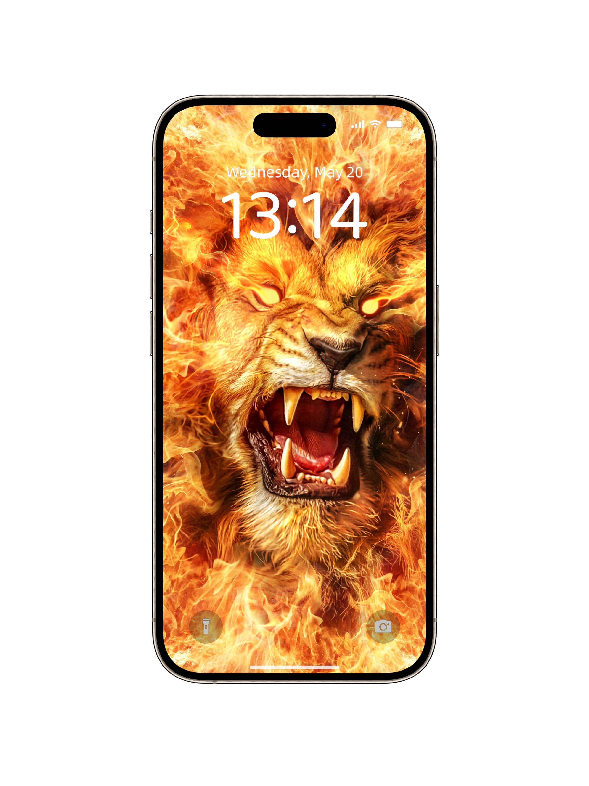 Fiery Lion Snarl Phone Wallpaper