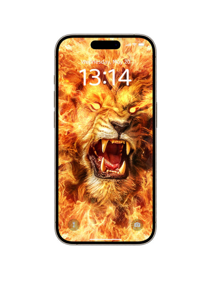 Fiery Lion Snarl Phone Wallpaper
