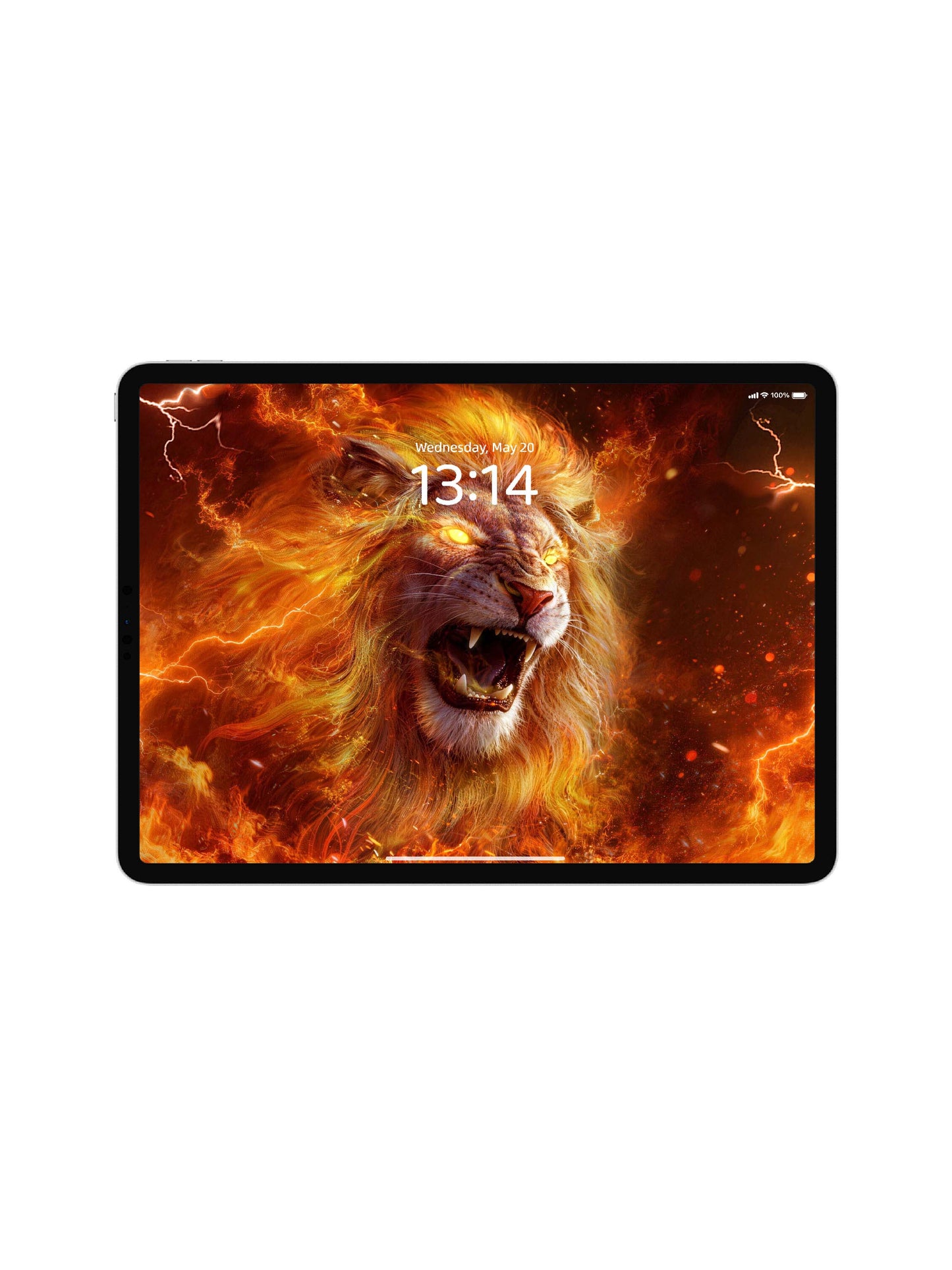 Roaring Flame Lion Digital Wallpaper