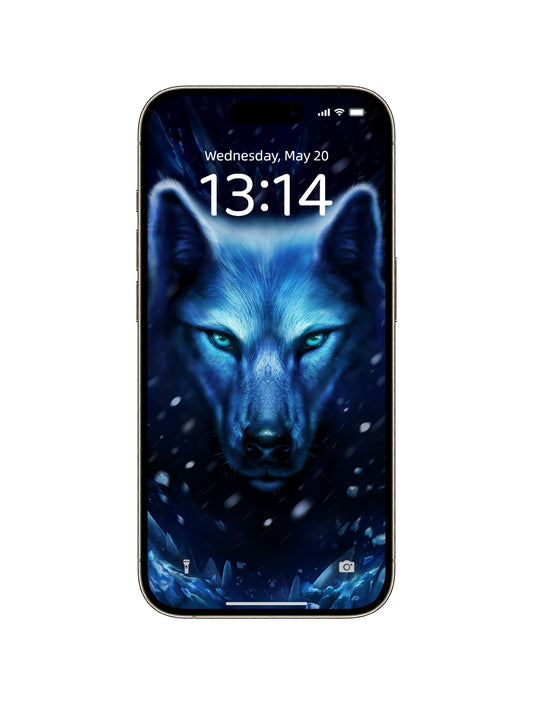 Arctic Wolf Stare Phone Wallpaper