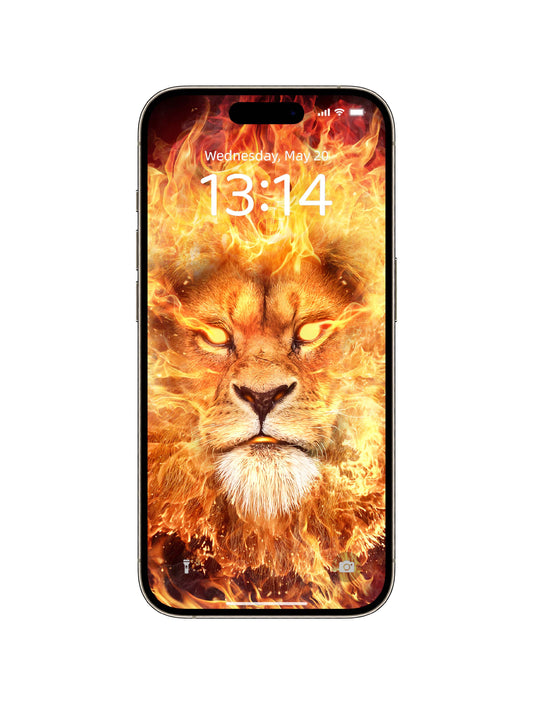 Inferno Lion Stare Phone Wallpaper