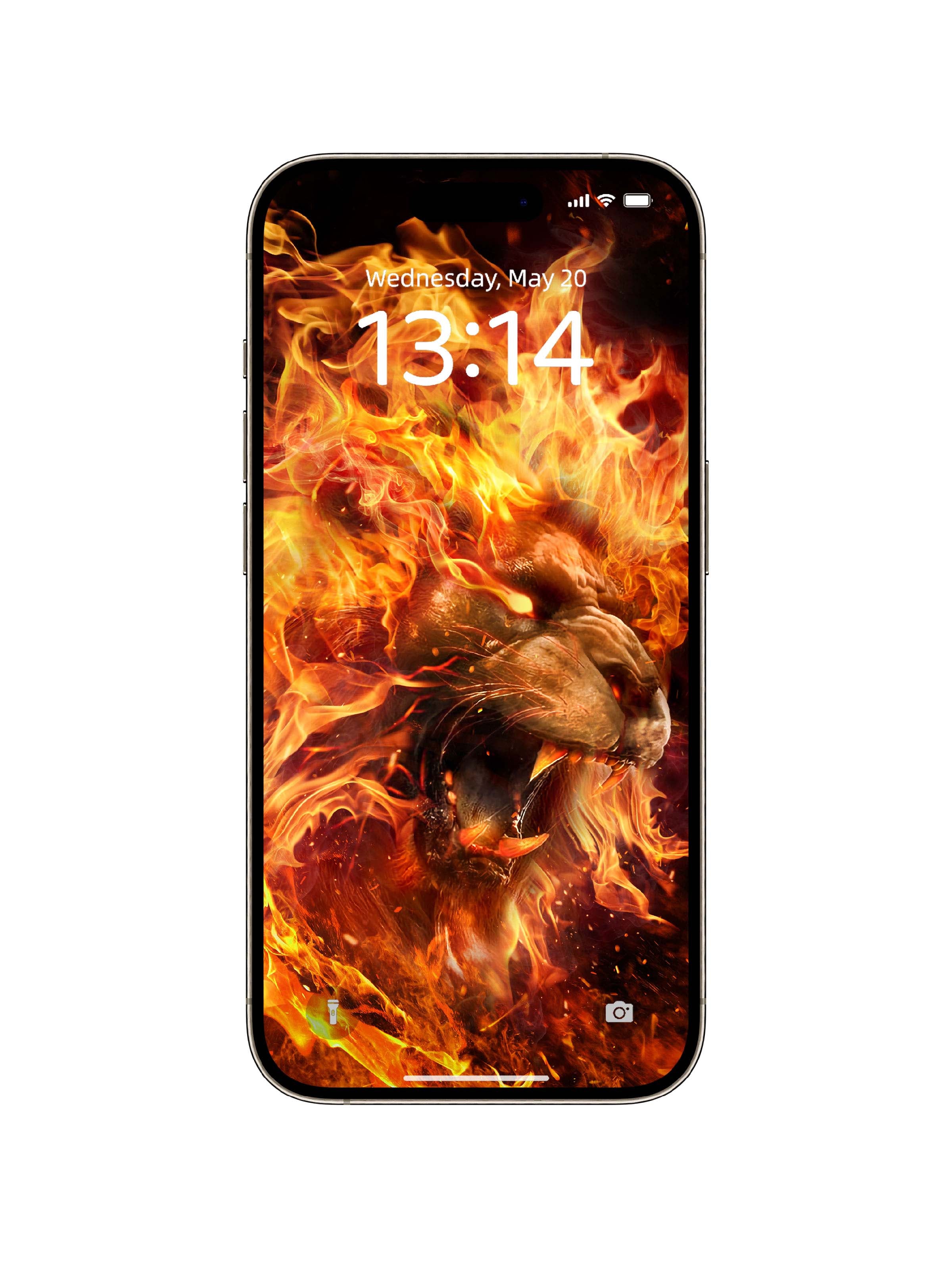 Inferno Lion Roar Phone Wallpaper