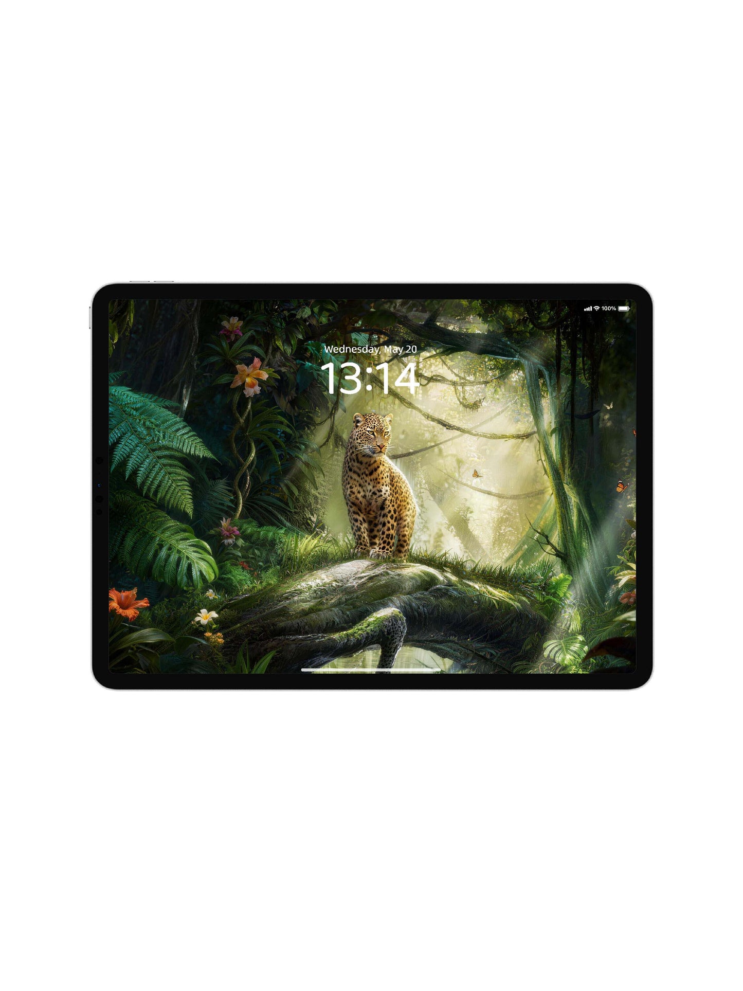 Rainforest Standing Leopard Digital Wallpaper